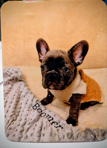 Fridge magnet cute french - |,