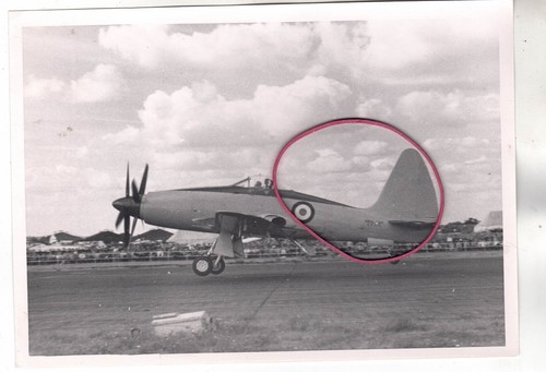 Repro photo - photo,