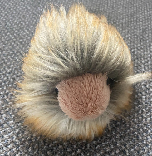 Jellycat rare soft - soft, guinnea