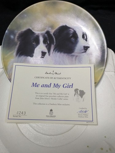 Border collie collector - collie,