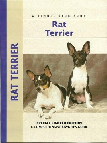 Rat terrier comprehensive - rat, terrier: