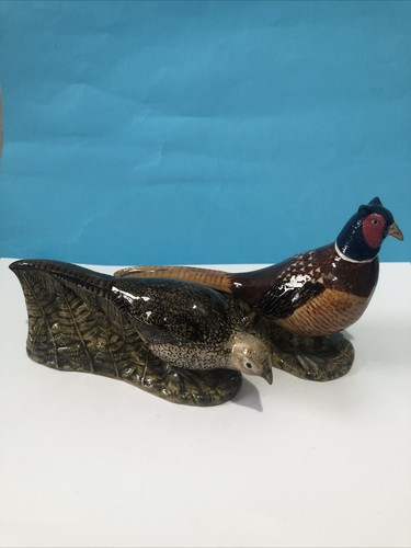 Pheasant cock and - hen,