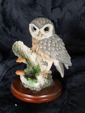 Country Artists "Little Owl in