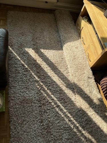 Next large rug - rug, 230cm