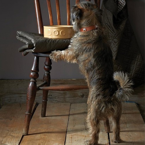 Mason cash cane and blue - mason,