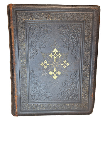 Holy bible illustrated - holy,
