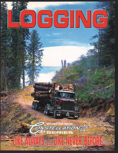 Western star constellation - star,