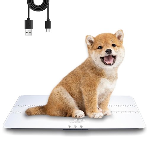 Digital pet scale - small, animal