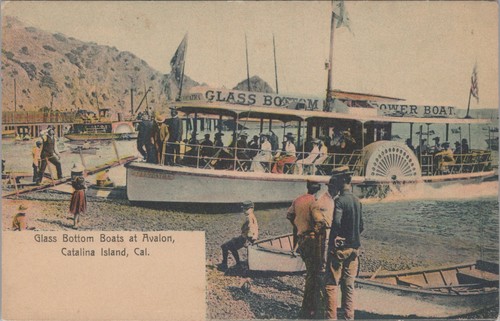 Glass bottom boats - bottom,