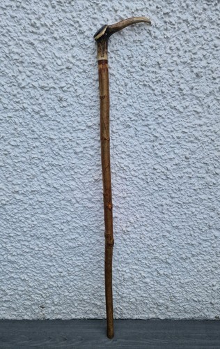Vintage stag horn antler - horn,