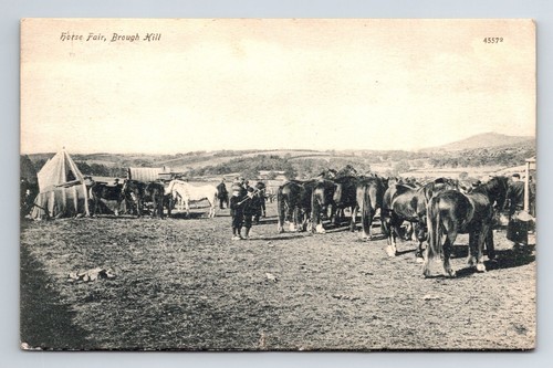 England cumberland gypsy - cumberland.,
