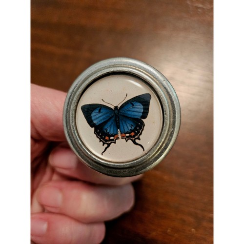 Butterfly cabinet knob - butterfly,