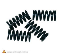 SP 1004254 Kit Clutch Springs