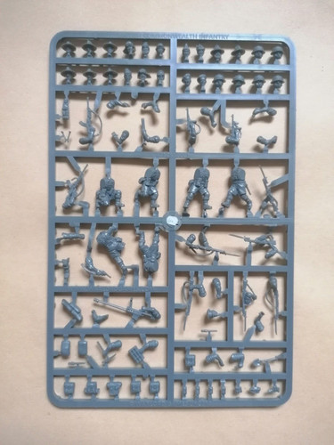 British commonwealth infantry - commonwealth,