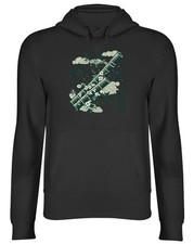 Lucky Bamboo Dracaena