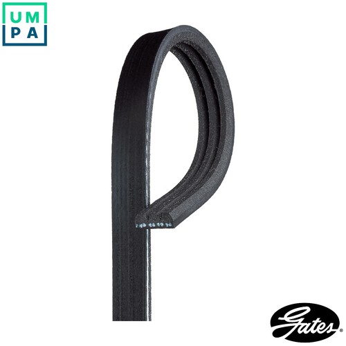 Vribbed belt 3pk913 for - vribbed,