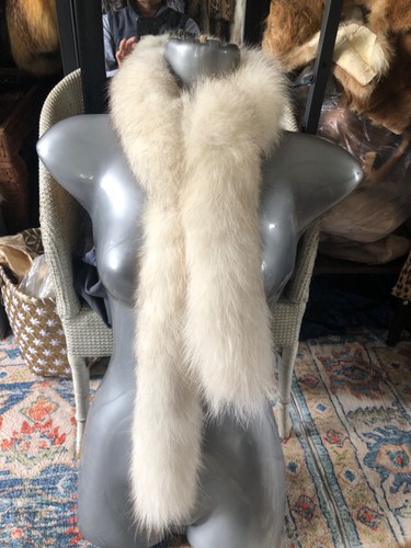 New design real arctic fox - design,
