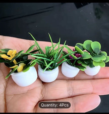 New 4 X Miniature Plants In