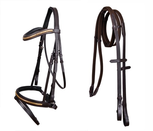 Horse english all purpose - english, all-purpose