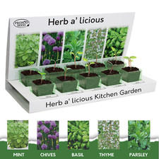 Herb Seeds | Grow Your Own Kitchen Herb Garden Kit | Gardening Gifts