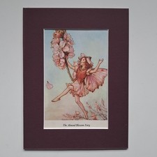 Cicely Mary Barker, Artist  -