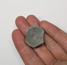 An Ichthyosaur Vertebra From