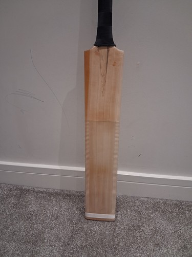 Garnd english willow - 1,