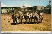 WESTON SUPER MARE Donkeys