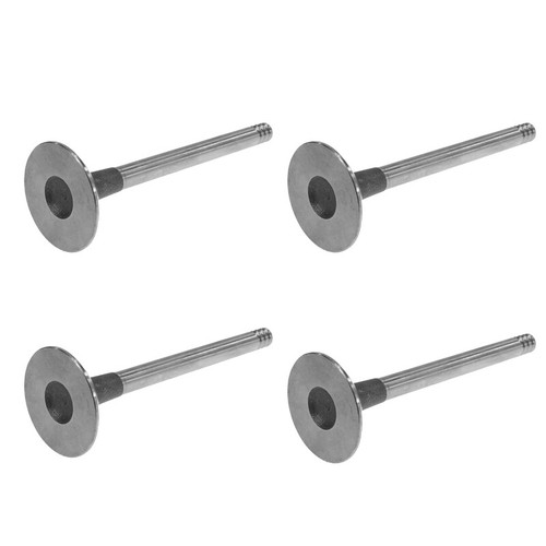 Intake valve for - valve, vw