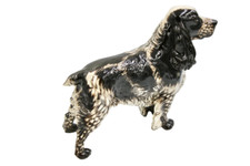 RARE Porcelain figurine Nymphenburg Dog Cocker Spaniel Signed Schmid Robert Bock