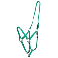 Zilco Deluxe SS Endurance Halter
