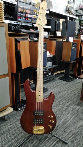 Bass l2000tribute electric - g&l,