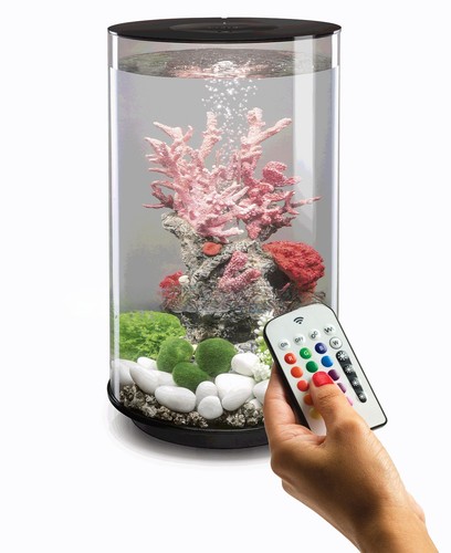 Biorb tube 30l black - tube,