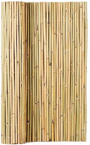 Natural rolled bamboo fence - natural,
