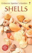 Shells (Usborne Spotters