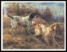 ENGLISH SETTER DOGS AT WORK
