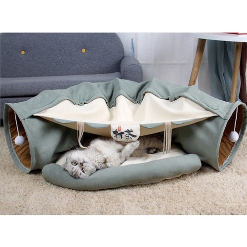 Cat tube and tunnel - cat,