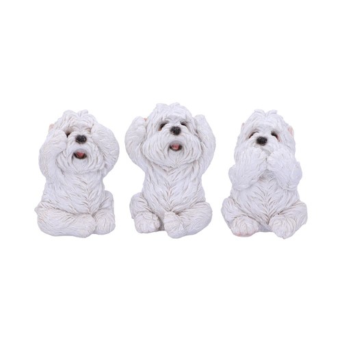 Three wise westies - three,