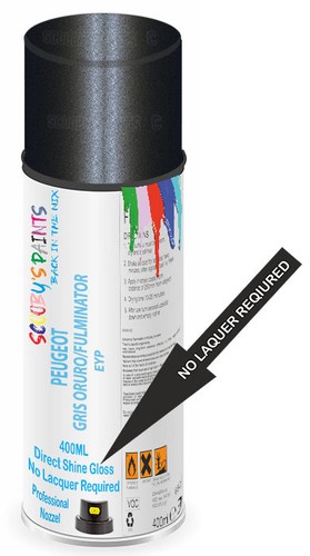 Aerosol spray paint for - spray,