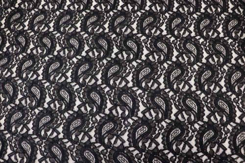 Black paisley lace mesh - paisley,