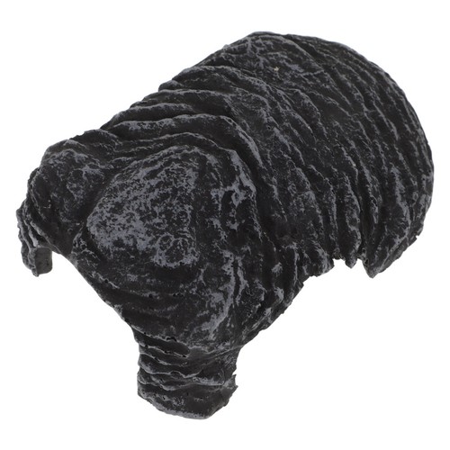 Turtle climbing rack - turtle,