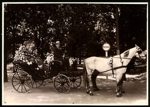 Photograph festively - of, a