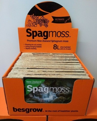 Sphagnum moss new - sphagnum,