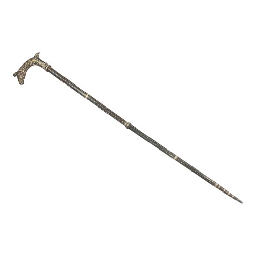 Cane walking stick - walking,