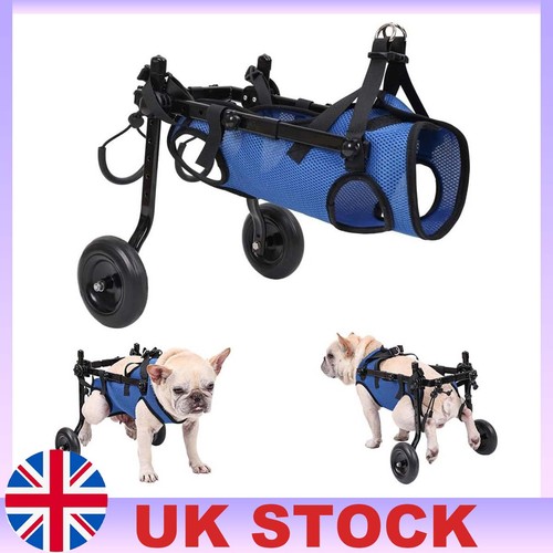 Pet walk booster dog - pet,