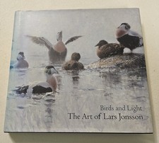 Birds and light the art - the,