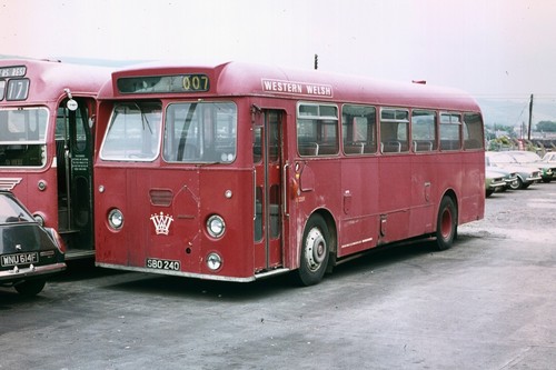 Western welsh u3359 sbo240 - western,