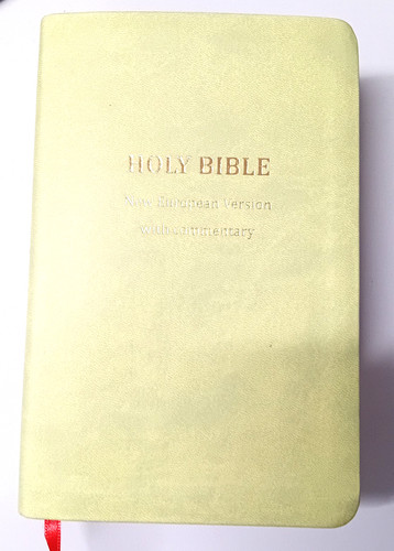 Holy bible new european - holy,