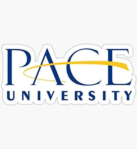 Pace university vinyl - university,