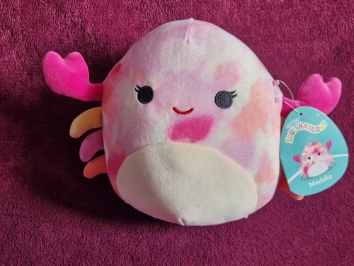 Maddie the crab squishmallows - maddie,